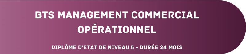 BTS Management Commercial Opérationnel (MCO) | Alternance